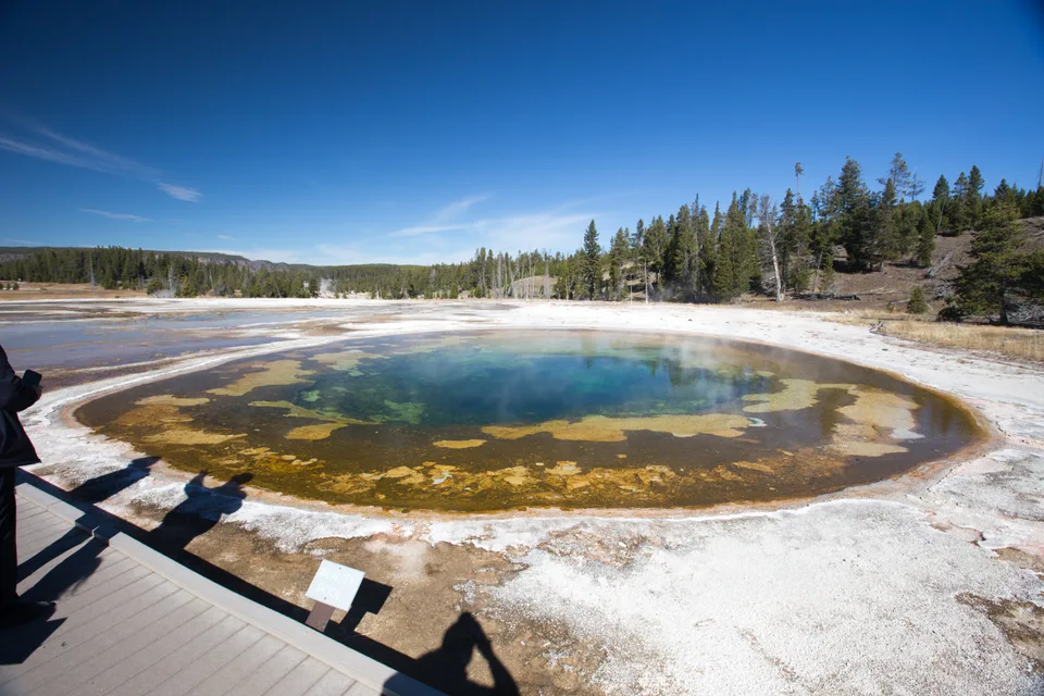 Beauty Pool