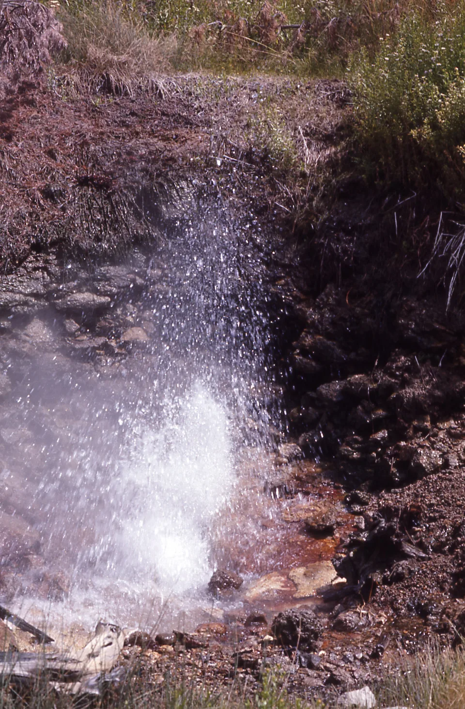 Big Alcove Spring