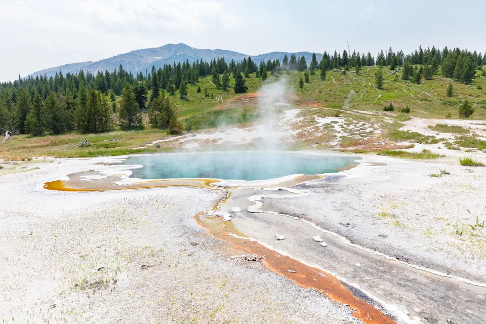 Columbia Spring