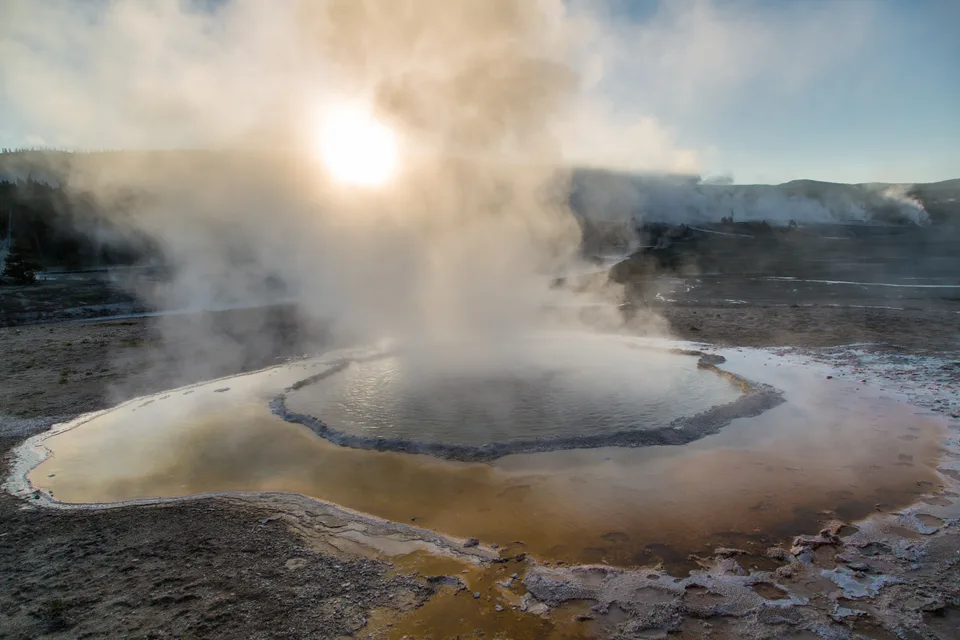 Crested Pool