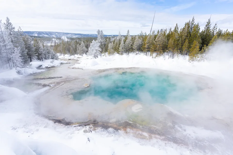 Emerald Spring