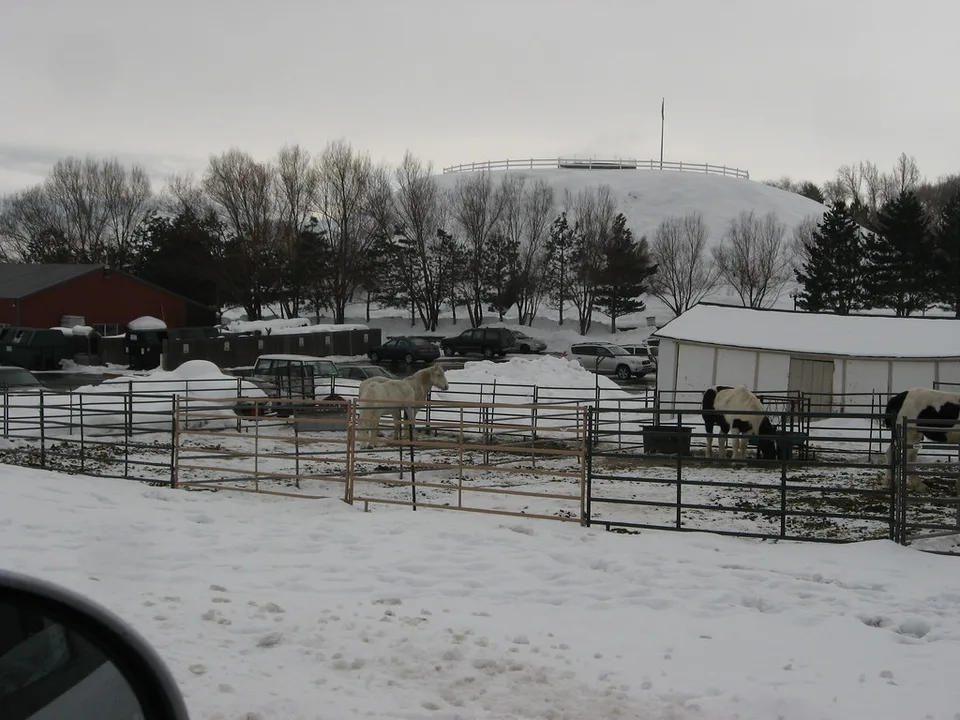 Homestead caldera