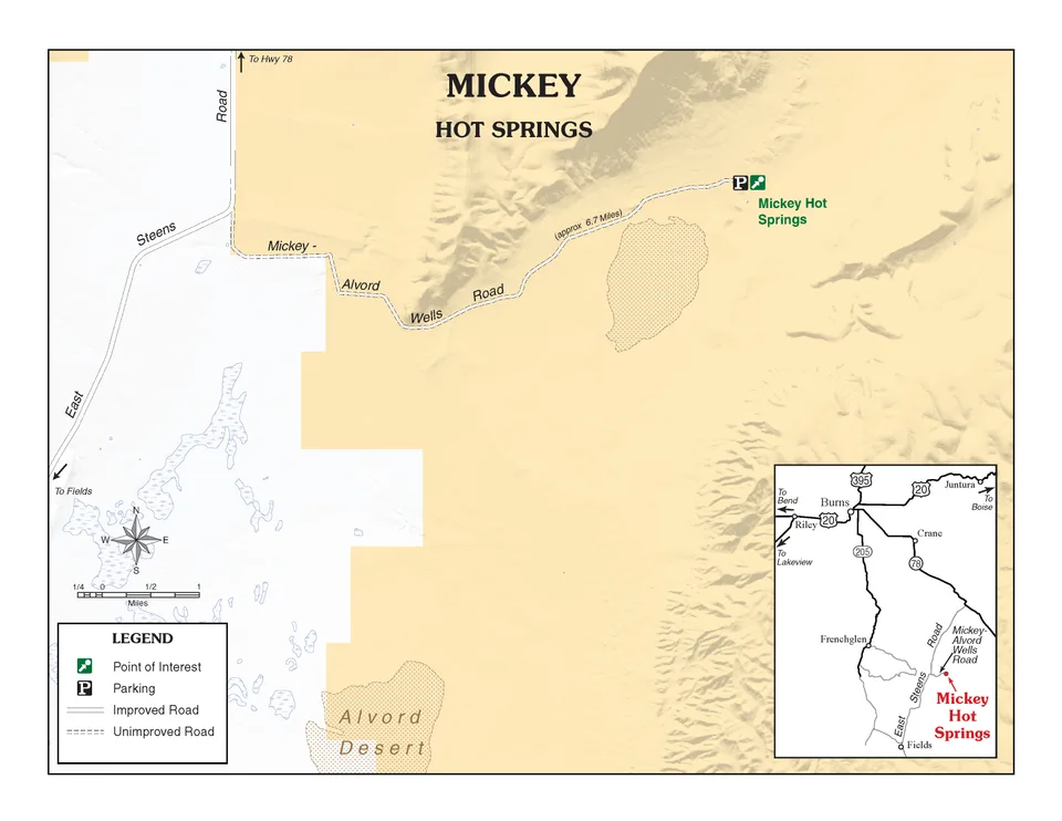 Mickey Hot Springs