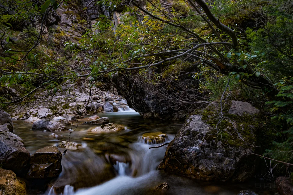 Miette hot springs