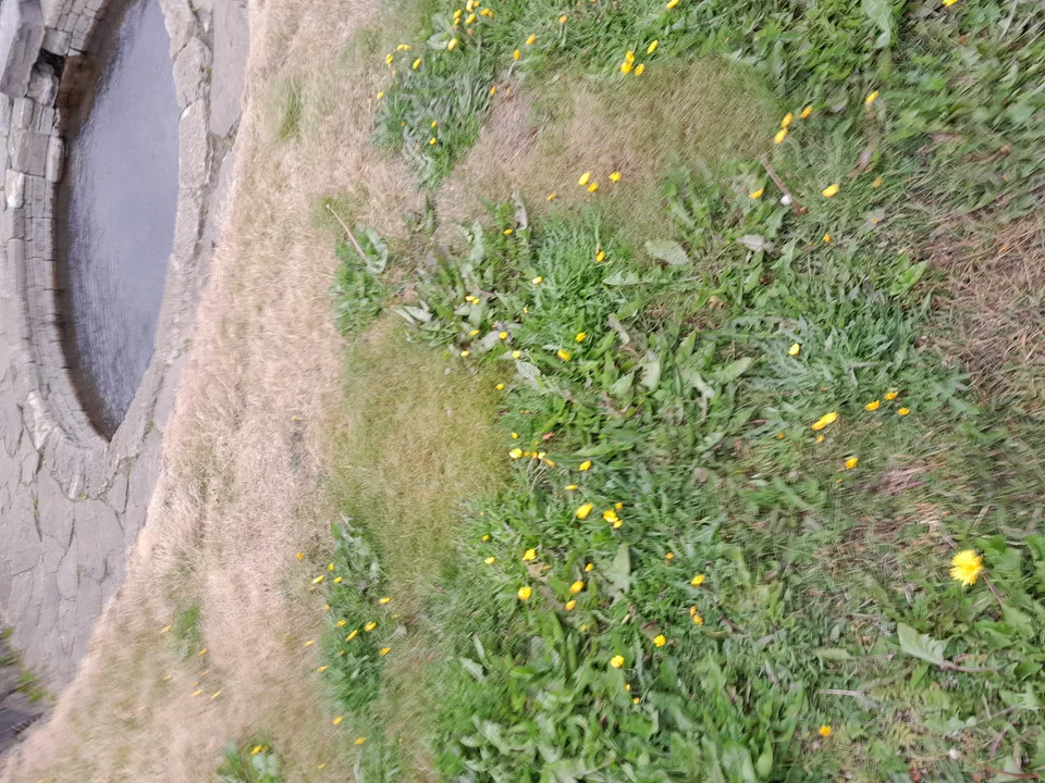 Snorralaug